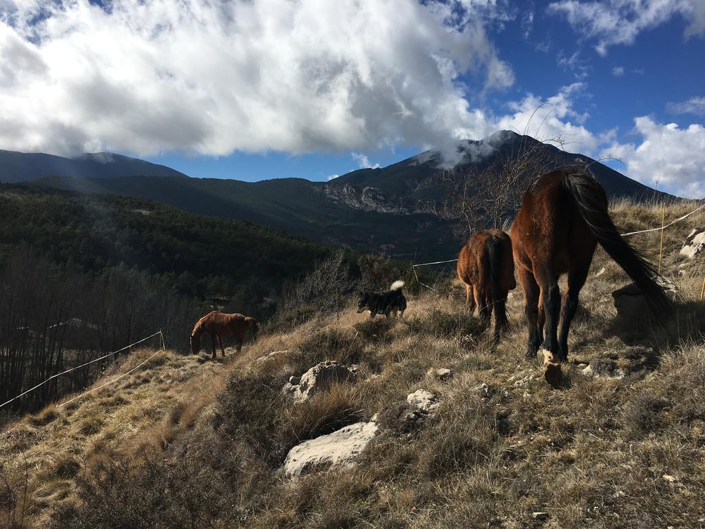 El Jou Nature Sant Corneli Esterno foto