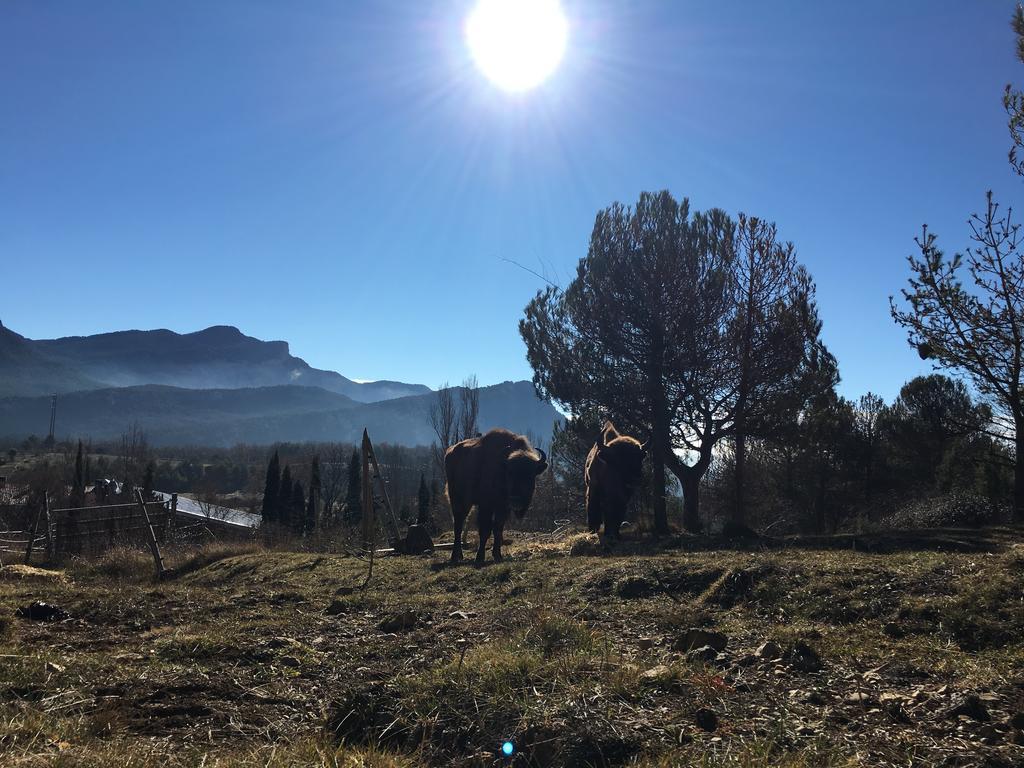 El Jou Nature Sant Corneli Esterno foto