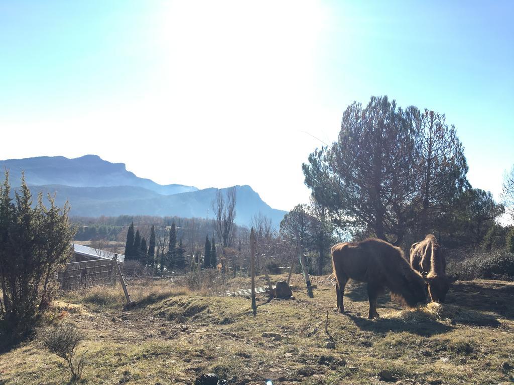 El Jou Nature Sant Corneli Esterno foto