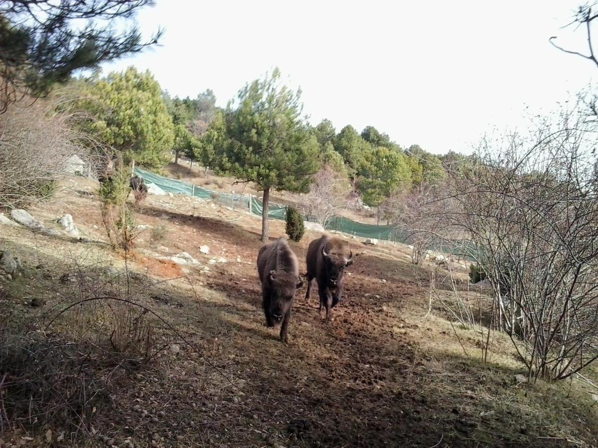 El Jou Nature Sant Corneli Esterno foto